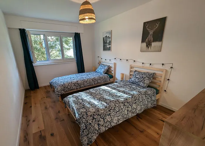 Appartement Spacieux Au Centre De La Gruyere